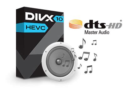 Définitions : DivX .
